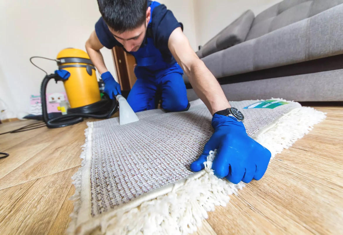 How to Keep Your Carpets Looking Good and Feeling Fresh